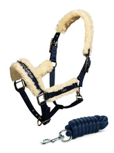 Load image into Gallery viewer, Royal blue halter Equestrian Stockholm
