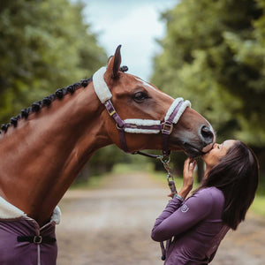 capezza equestrian stockholm orchid bloom shop del cavallo