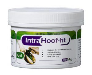 Intra Hoof-fit shop del cavallo