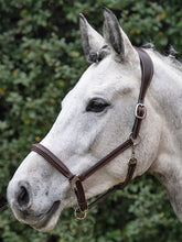 Carica l&#39;immagine nel visualizzatore di Gallery, Capezza Safety Halter in cuoio marrone Equiline shop del cavallo
