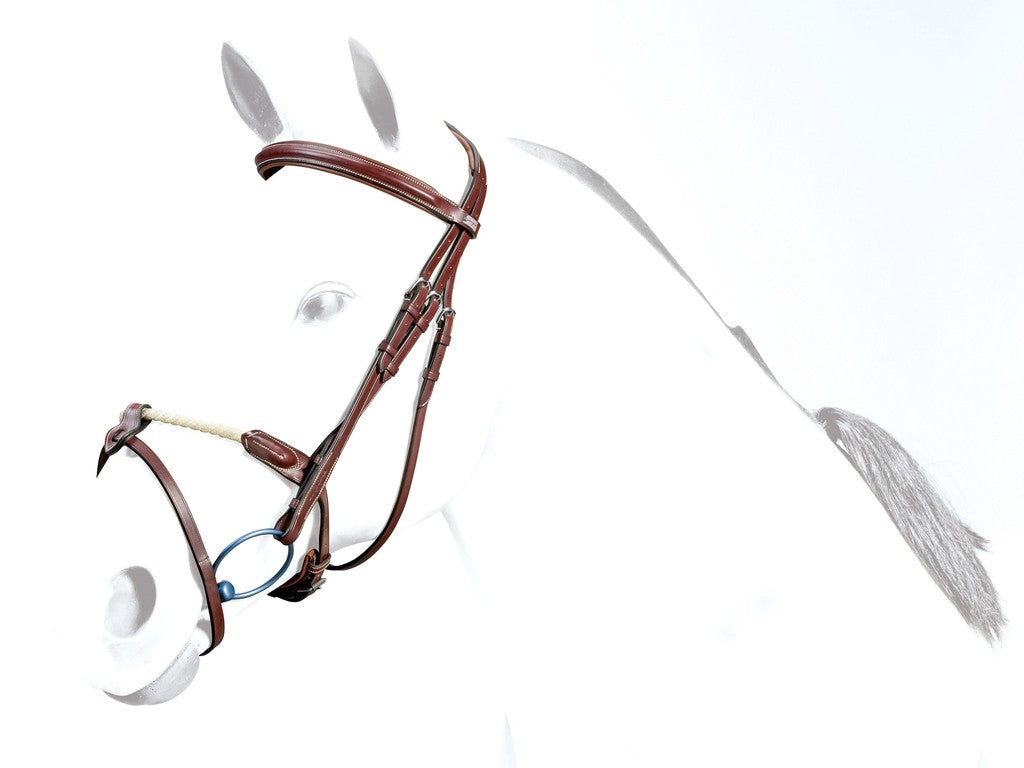 Testiera con capezzina in Raw Equipe shop del cavallo