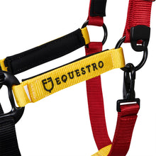 Carica l&#39;immagine nel visualizzatore di Gallery, Capezza &quot;Flaggy&quot; in nylon con lunghina shop del cavallo

