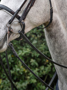 Redini Equiline shop del cavallo
