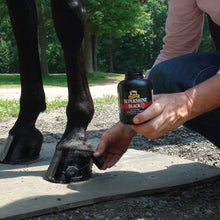 Carica l&#39;immagine nel visualizzatore di Gallery, Supershine Black Absorbine shop del cavallo
