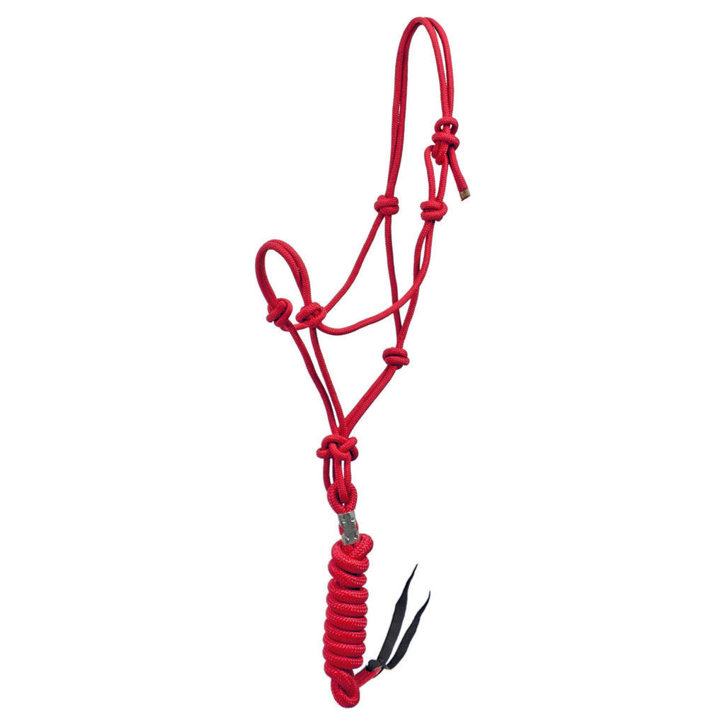 Capezza in corda con lunghina shop del cavallo