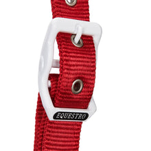 Carica l&#39;immagine nel visualizzatore di Gallery, Capezza &quot;Flaggy&quot; in nylon con lunghina shop del cavallo
