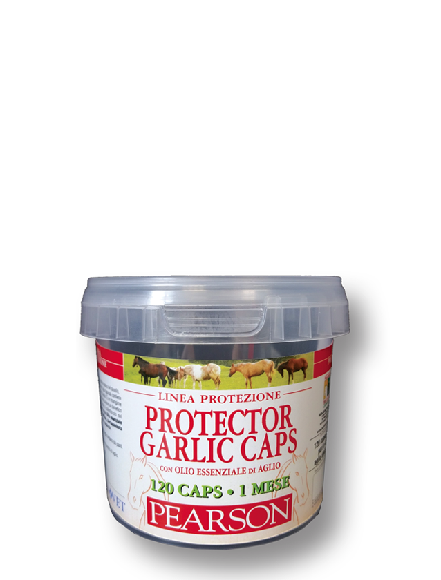 Protector Garlic caps based on Pearson garlic