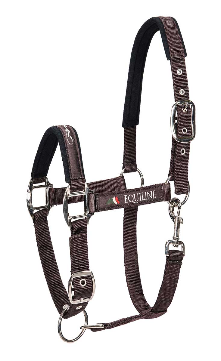 Brown Timmy halter